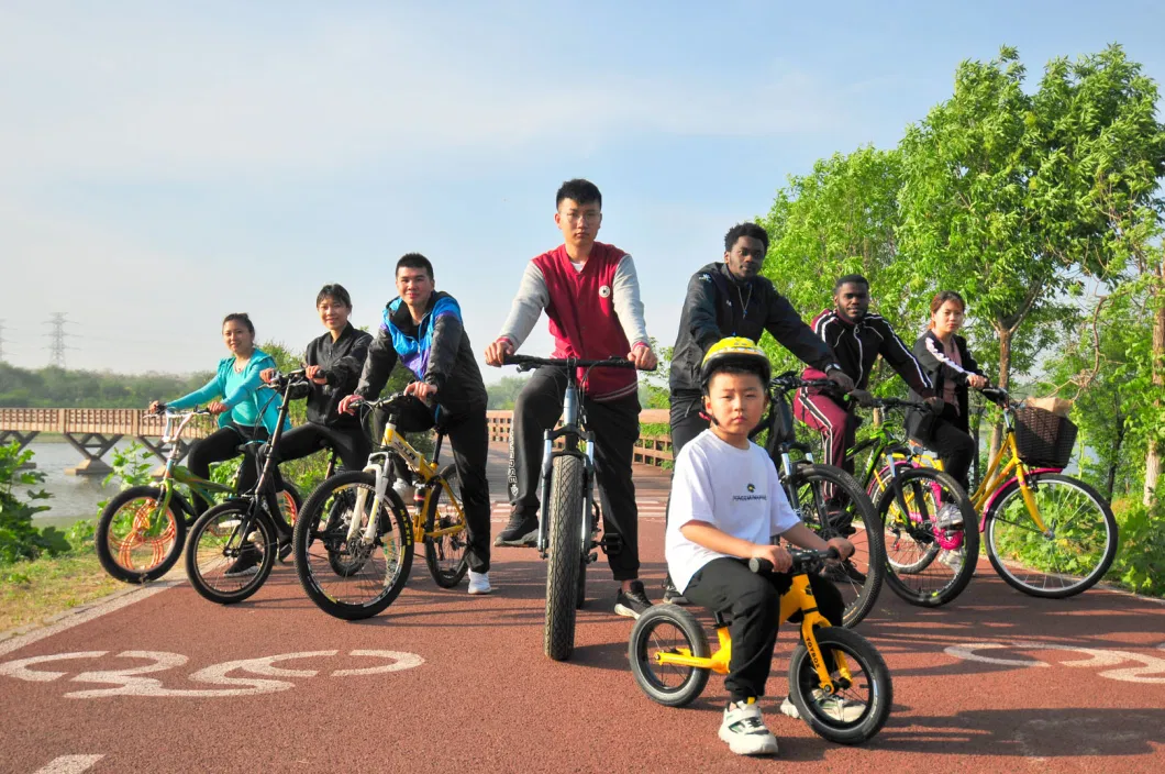 New BMX Kids Bike/Hot Sale Children Bike OEM