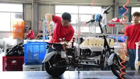 20 Zoll BMX Fahrrad Stahlrahmen Fahrrad Chinesisches Fahrrad OEM