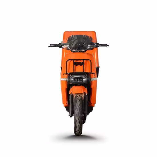 Apollo Dirt Bike Rfn Ares Rally PRO Elektrisches Dirtbike Elektrisches Motorrad mit Lithiumbatterie Elektrisches Motocross Elektrisches Pitbike Erwachsener Elektrisches Offroad-Bike